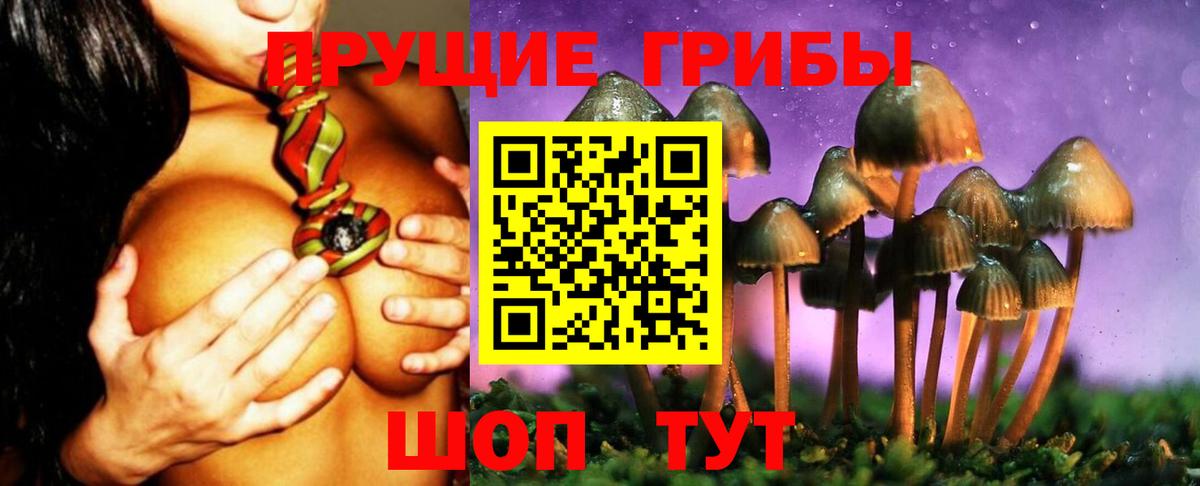 Белебей  Галлюциногенные грибы Psilocybine cubensis  Галлюциногенные грибы MAGIC MUSHROOMS  Вход с VPN 
